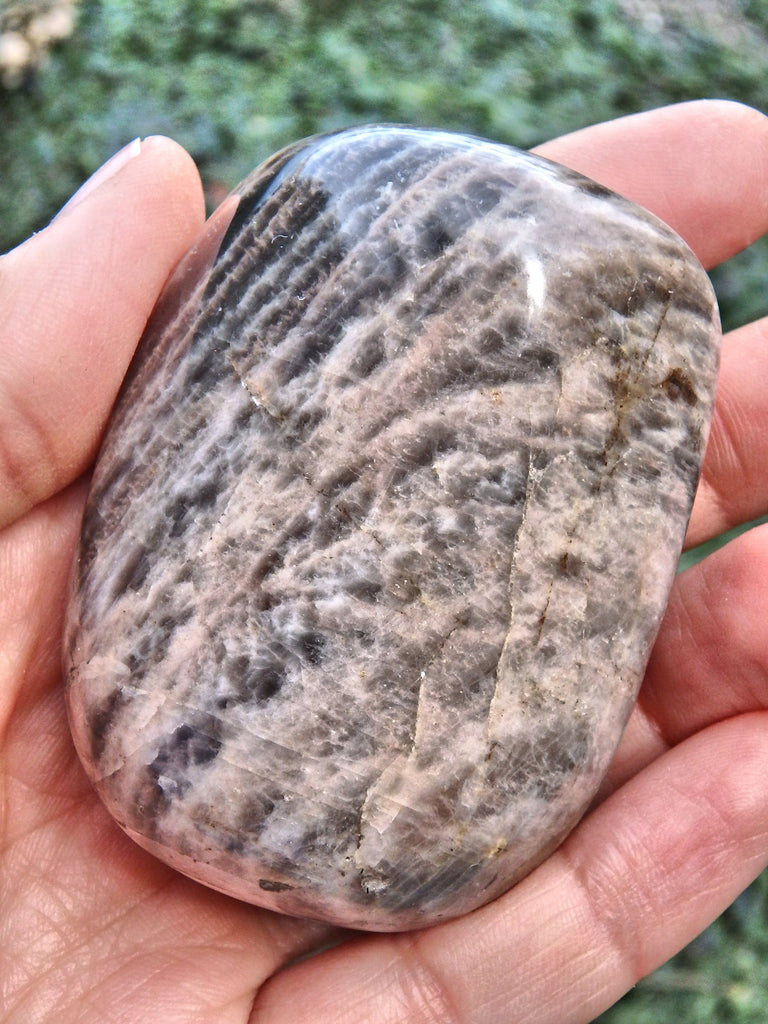 Creamy 2 Tone Black Moonstone Hand Held Specimen 1 - Earth Family Crystals
