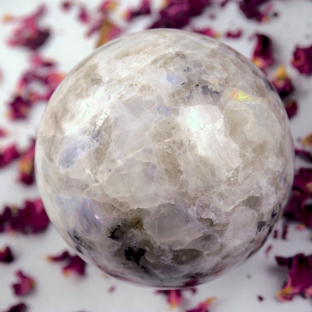 Powerful XL Rainbow Moonstone & Black Tourmaline Sphere Carving - Earth Family Crystals