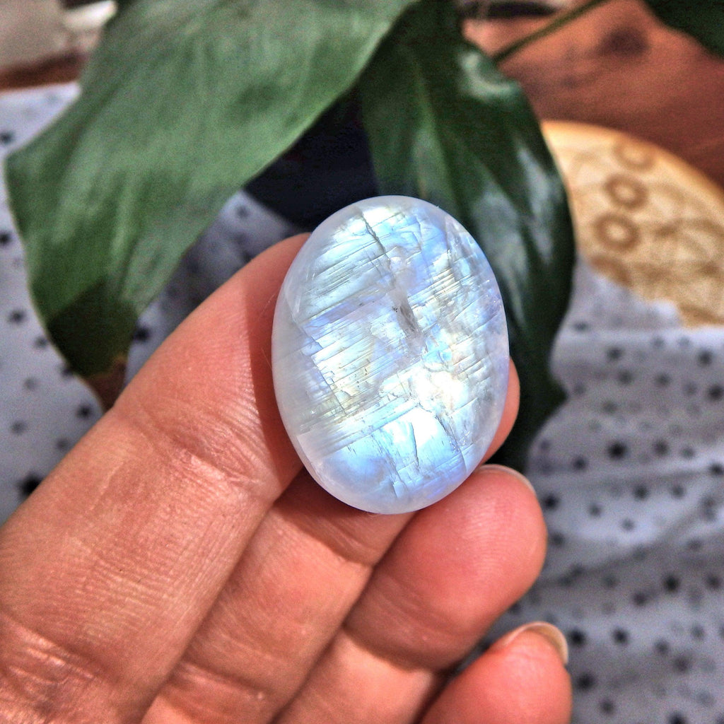 Moving Flashes of Color Rainbow Moonstone Cabochon-Perfect for Crafting - Earth Family Crystals