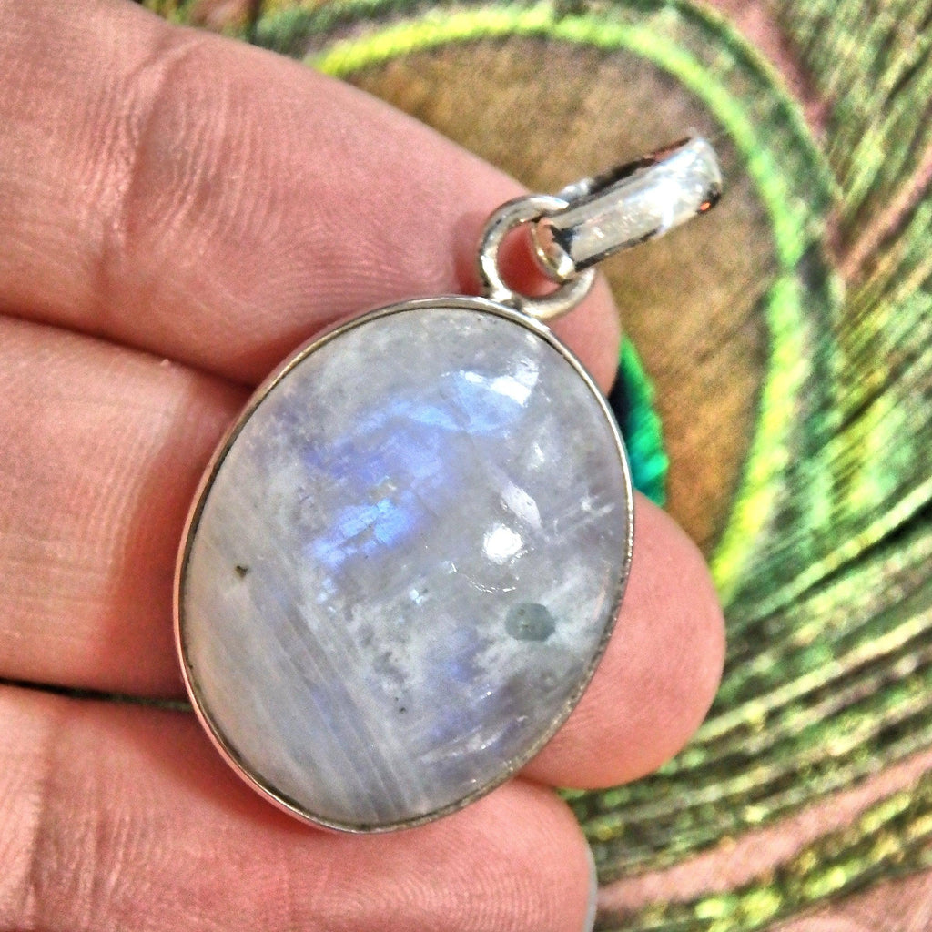Flashes of Royal Blue Rainbow Moonstone  Sterling Silver Pendant (Includes Silver Chain)2 - Earth Family Crystals