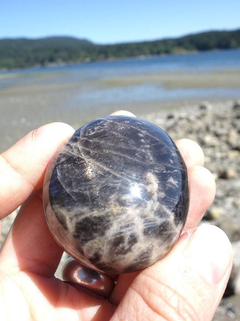 Shiny Black Moonstone Grounding Stone - Earth Family Crystals