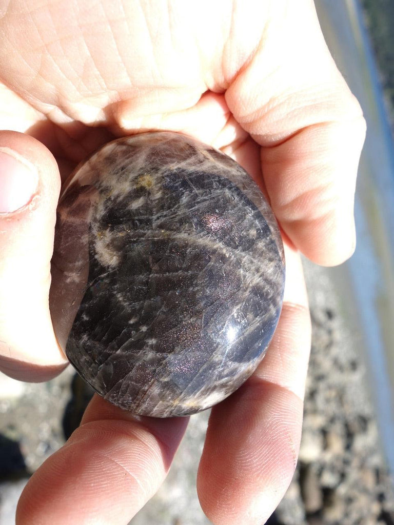 Shiny Black Moonstone Grounding Stone - Earth Family Crystals