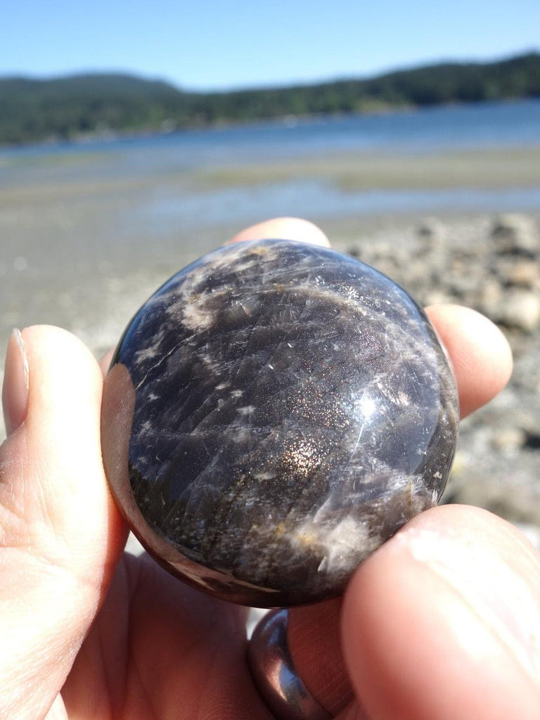 Shiny Black Moonstone Grounding Stone - Earth Family Crystals