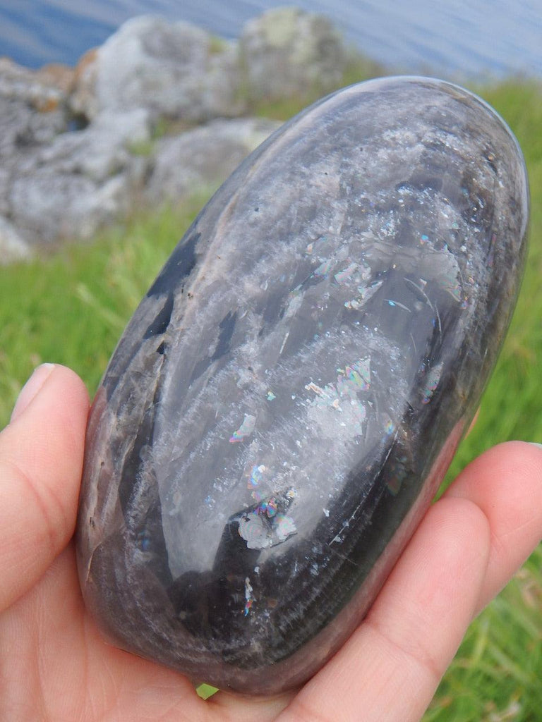 Stunning Sheen Self Standing Black Moonstone Specimen - Earth Family Crystals