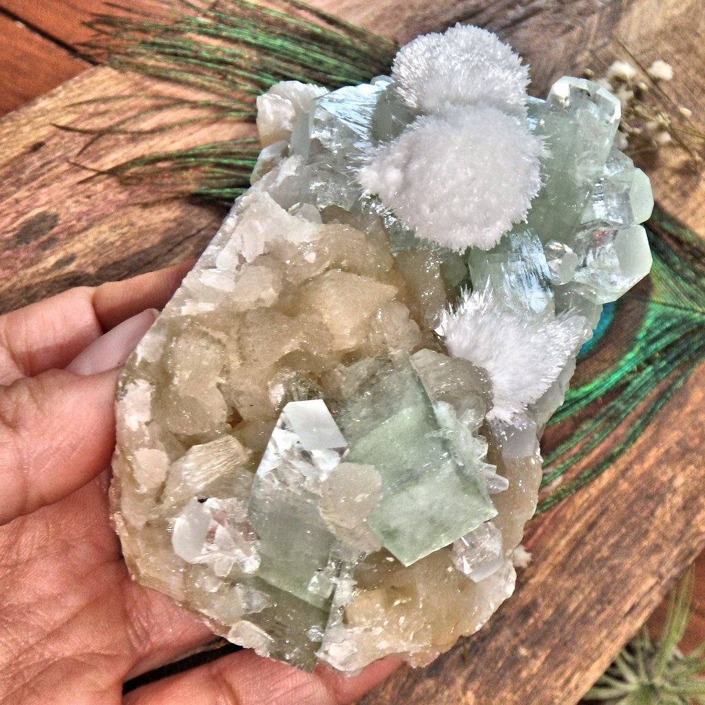 Rare Puff Balls of White Mordenite on Minty Green Apophyllite & on Pink Stilbite Matrix - Earth Family Crystals