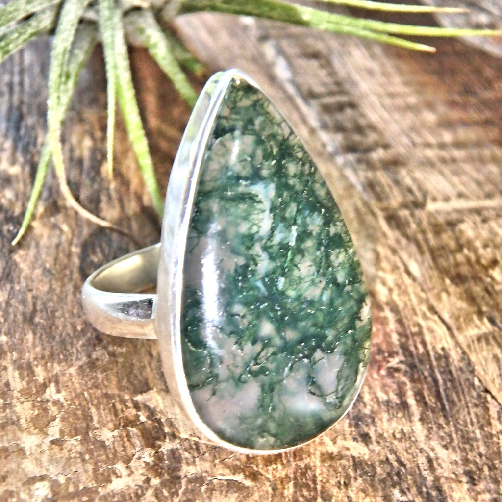 Forest Green Moss Agate Sterling Silver Ring (Size 8) - Earth Family Crystals