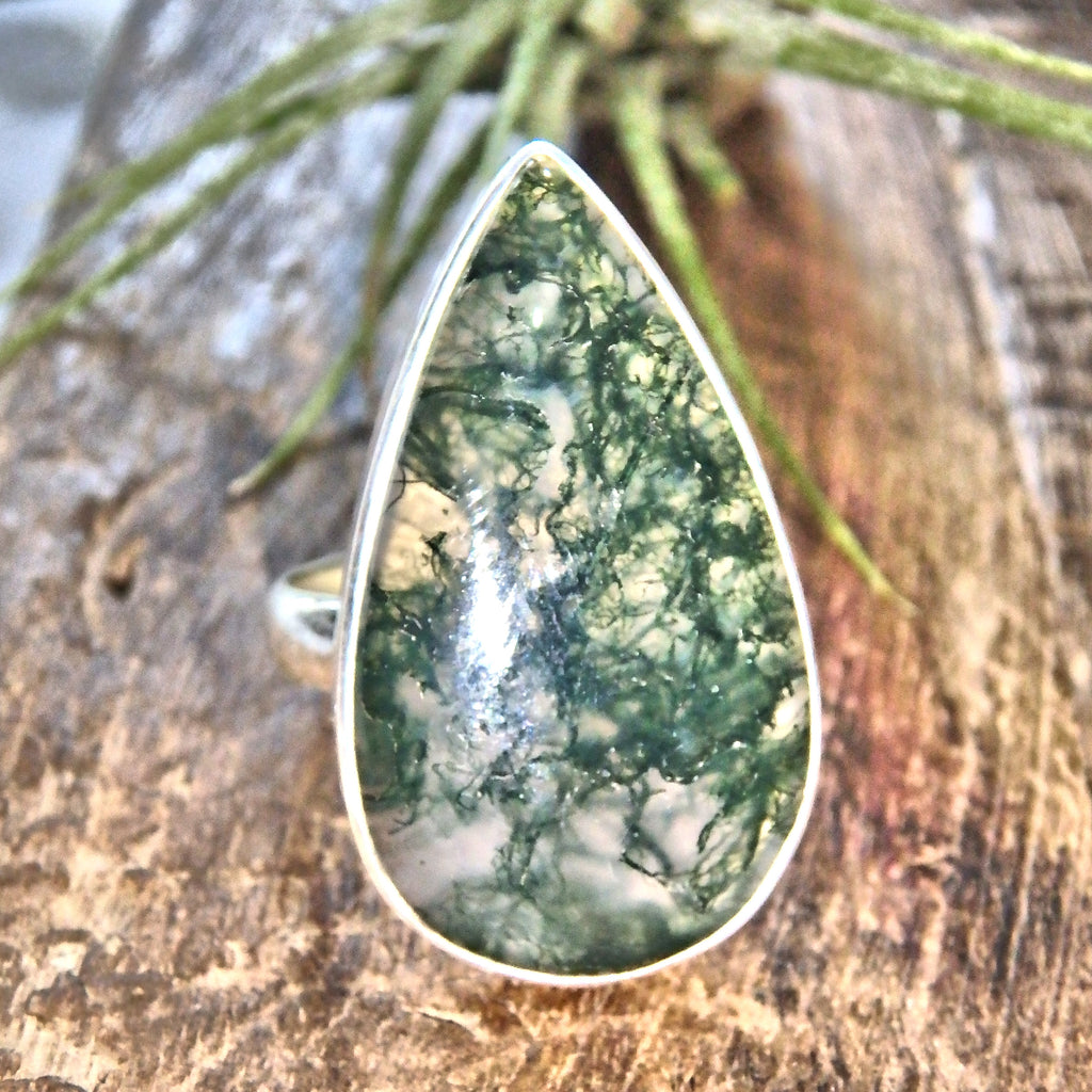 Forest Green Moss Agate Sterling Silver Ring (Size 8) - Earth Family Crystals