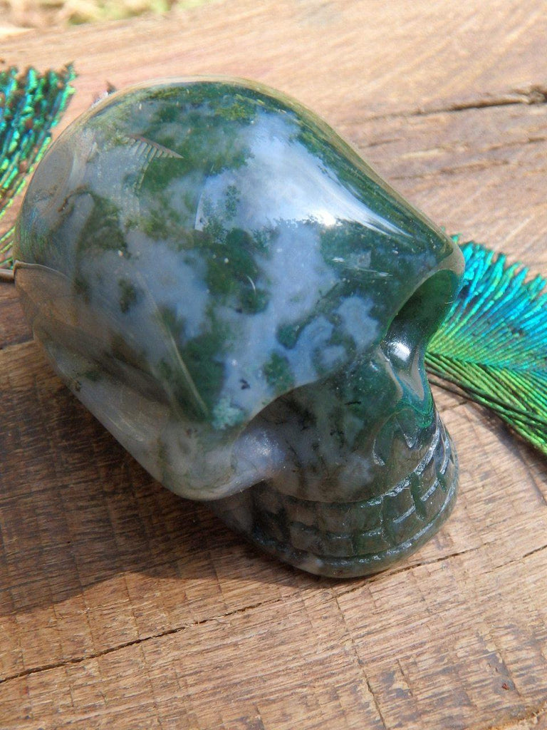 Adorable Moss Agate Skull With Druzy Caves - Earth Family Crystals