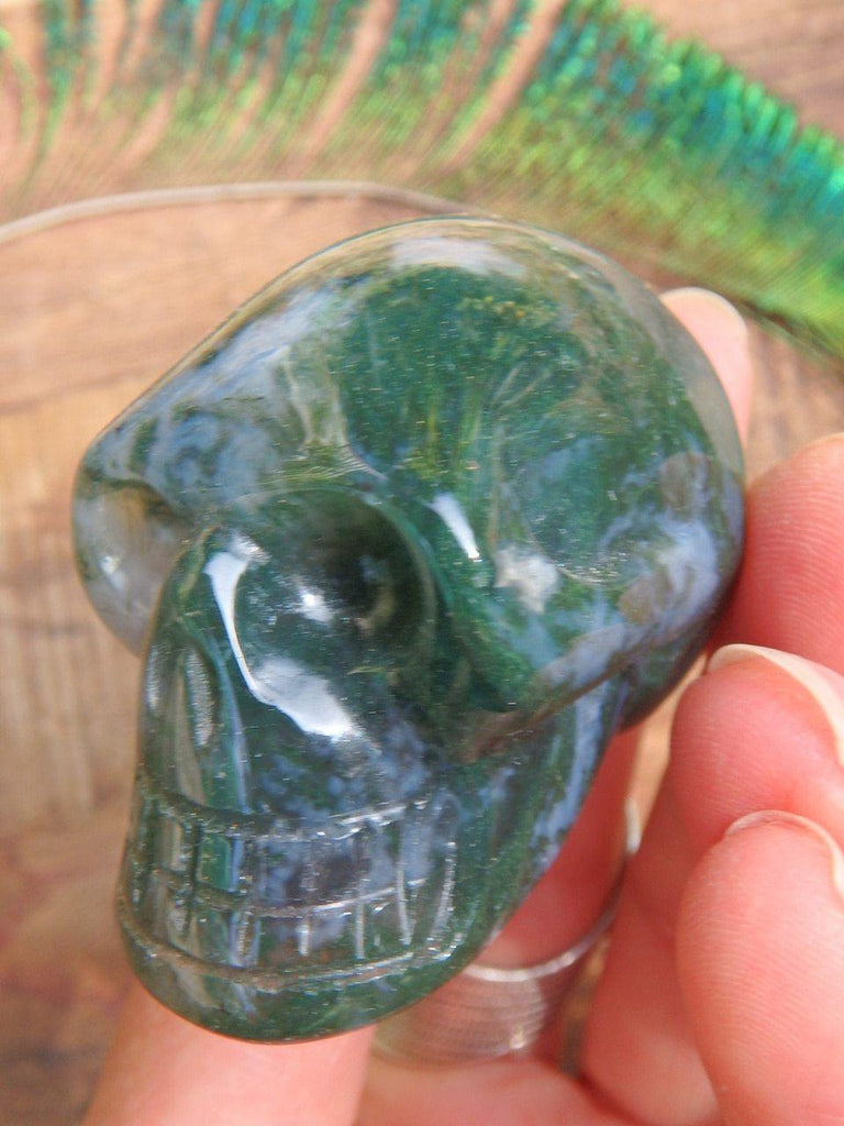 Adorable Moss Agate Skull With Druzy Caves - Earth Family Crystals