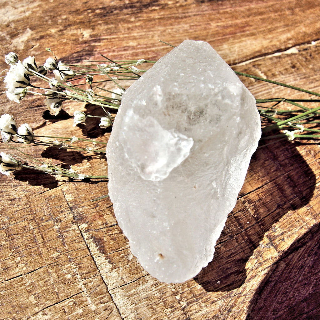 Clear Nirvana Himalayan Quartz Raw Hand Held Dainty Point Specimen - Earth Family Crystals