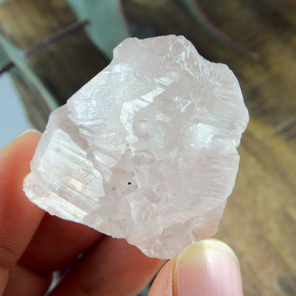 Elestial Peak Points Light Pink Nirvana Ice Quartz Specimen from the Himalayas - Earth Family Crystals