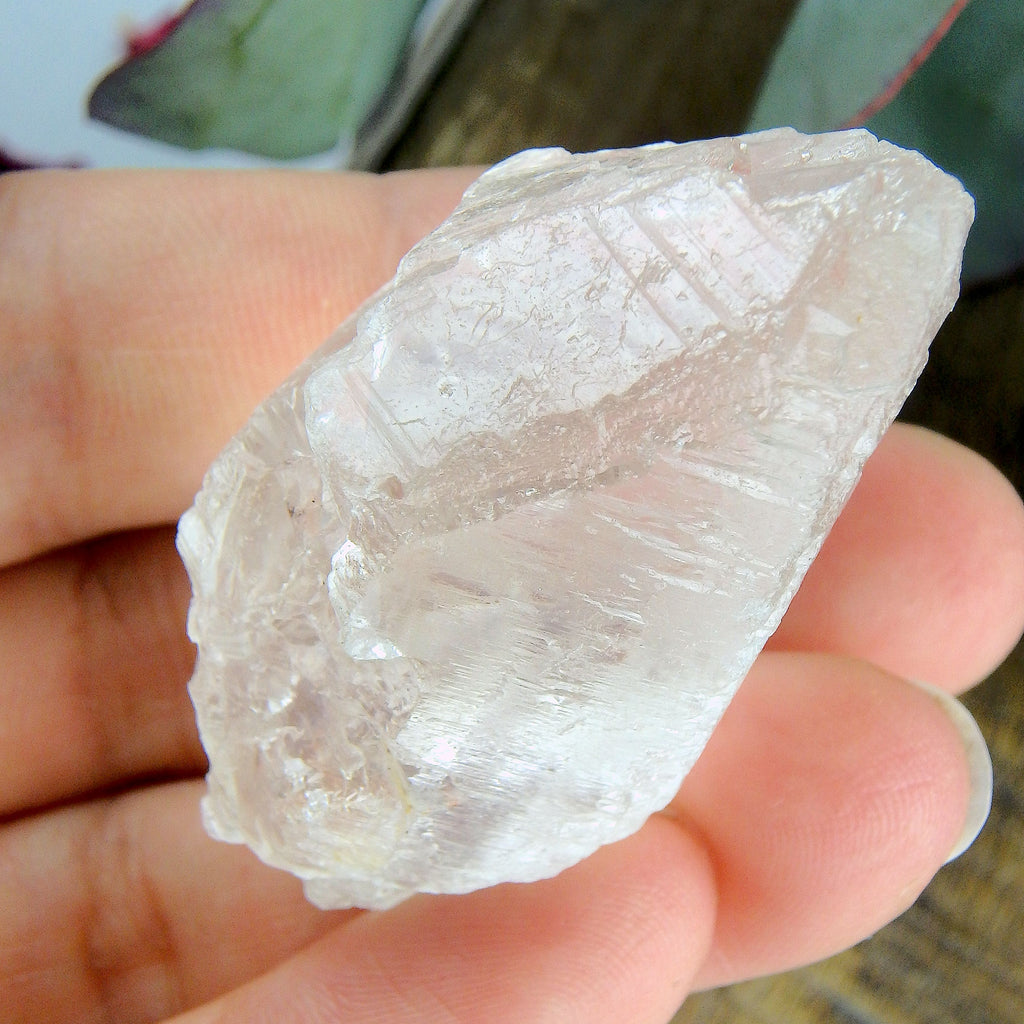 High Vibe~Peak Elestial Point & Record Keepers Gemmy Clear Nirvana Ice Quartz Point - Earth Family Crystals