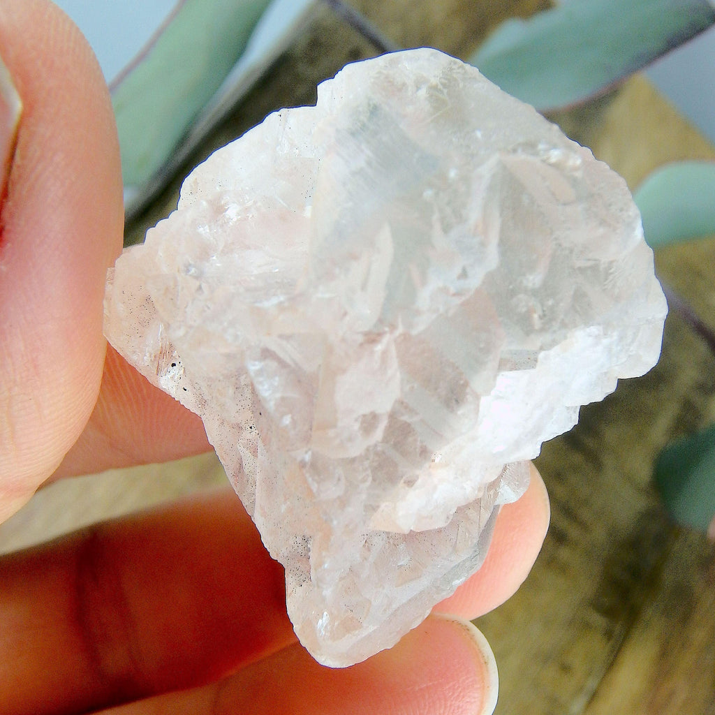 Elestial Peak Points Light Pink Nirvana Ice Quartz Specimen from the Himalayas - Earth Family Crystals