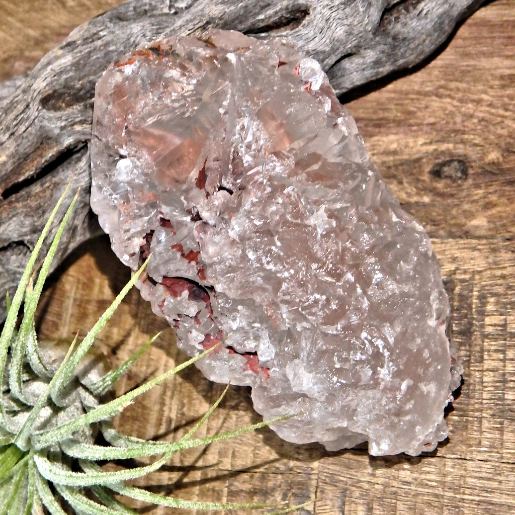 Record Keepers & Inclusions Pink Ice Nirvana Quartz Point From the Himalayas - Earth Family Crystals