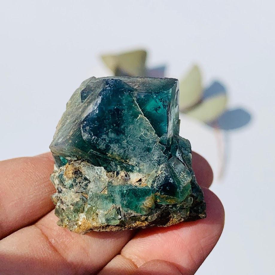 Famous Locality~Rogerley Mine  Fluorite Cluster From Frosterley, England #4 - Earth Family Crystals