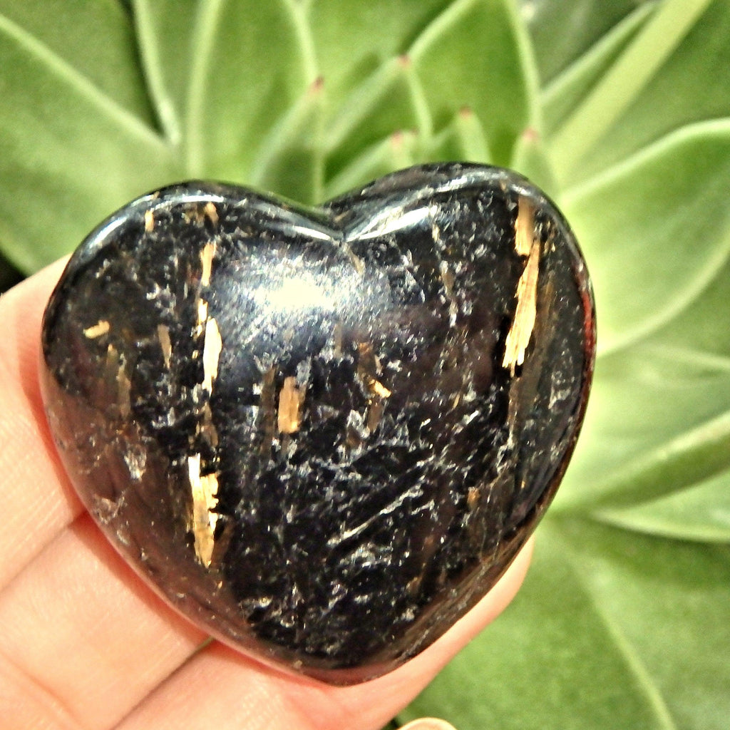 Magnificent Golden Flash Genuine Greenland Nuummite Love Heart 1 - Earth Family Crystals