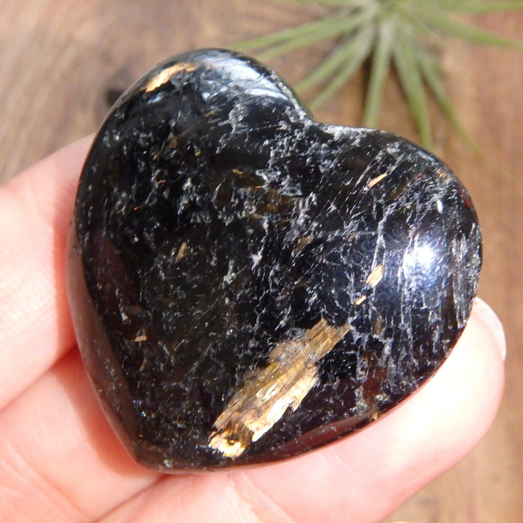 Genuine Greenland Nuummite Heart With Lightening Flashes of Mysterious Color REDUCED - Earth Family Crystals
