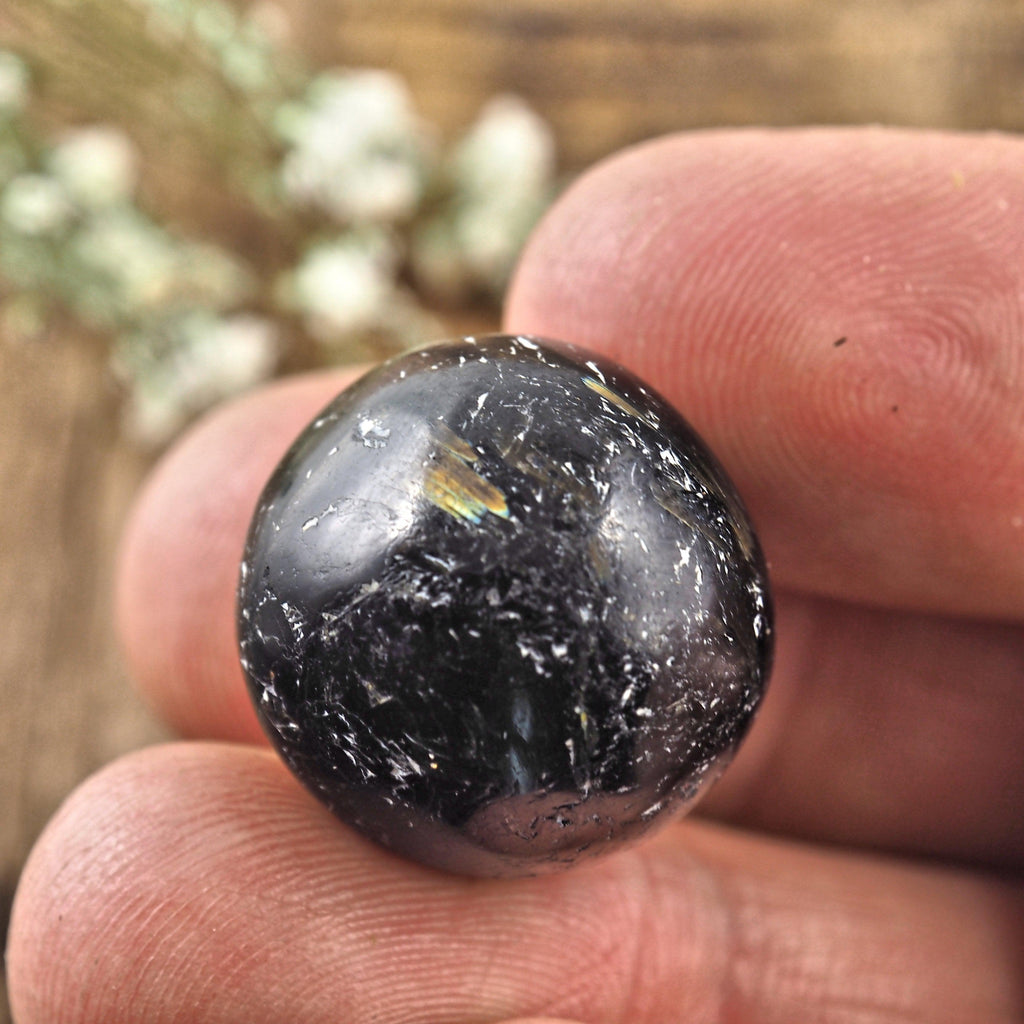 Mini Greenland Nuummite Sphere Carving - Earth Family Crystals