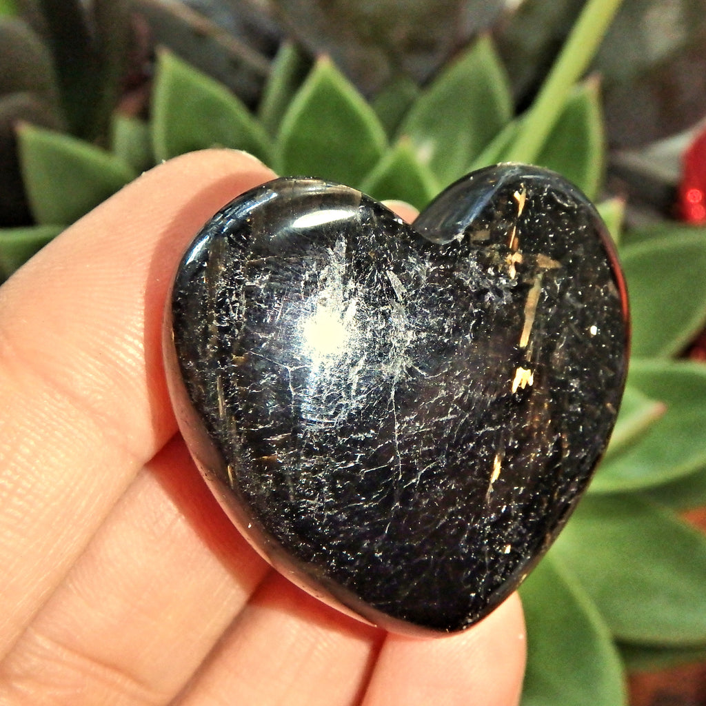 Pop Up Flashes Genuine Greenland Nuummite Love Heart 1 - Earth Family Crystals