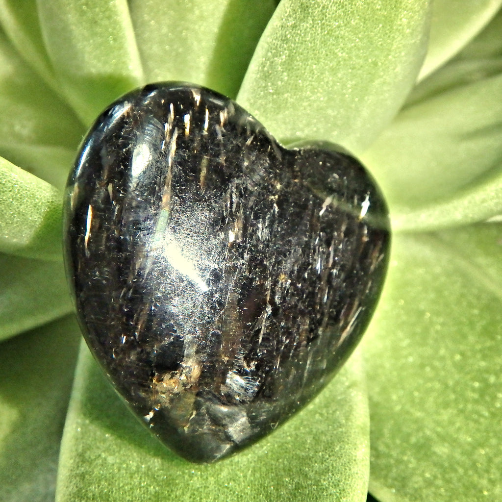 Silky Flashes Genuine Greenland Nuummite Love Heart 1 - Earth Family Crystals