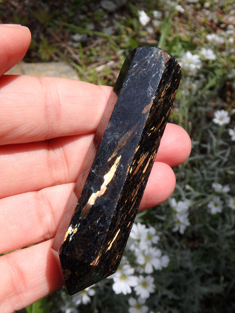 Sorcerer's Stone~ Greenland Nuummite Golden Flashes Wand - Earth Family Crystals