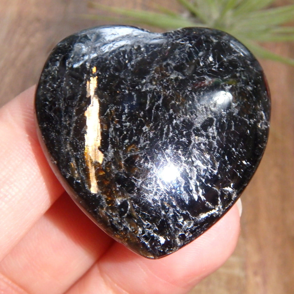 Genuine Greenland Nuummite Heart With Lightening Flashes of Mysterious Color REDUCED - Earth Family Crystals