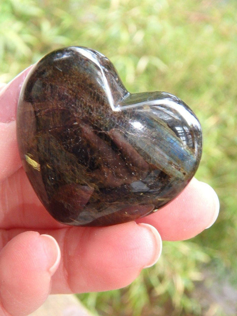 Big Golden Flash & Silver Sheen Greenland Nuummite Heart - Earth Family Crystals