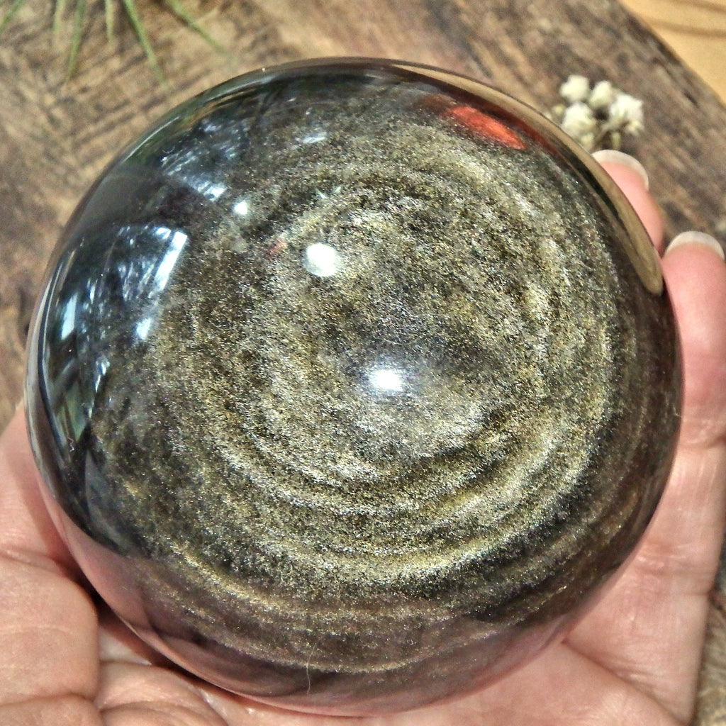 Stunning XL Gold Sheen Obsidian Sphere Carving - Earth Family Crystals