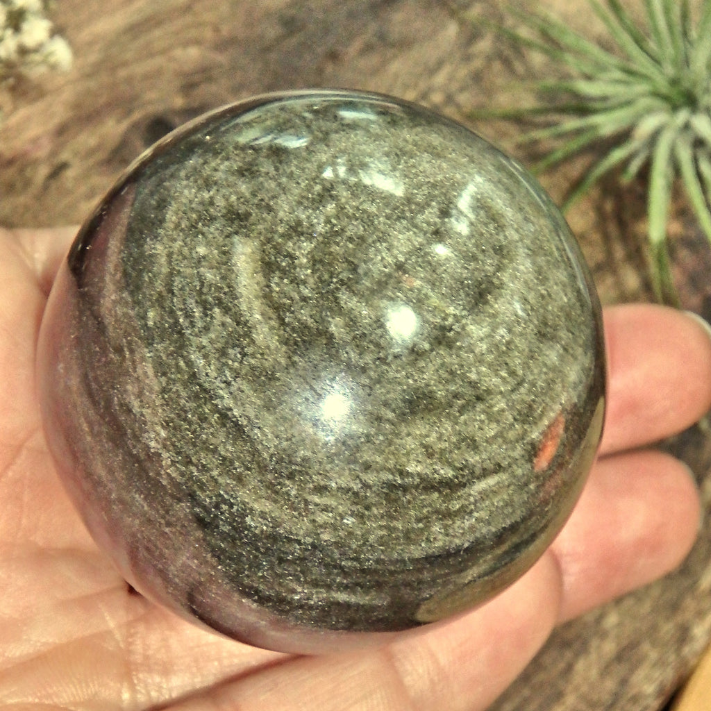 Mysterious Gold Sheen Obsidian Sphere Carving - Earth Family Crystals