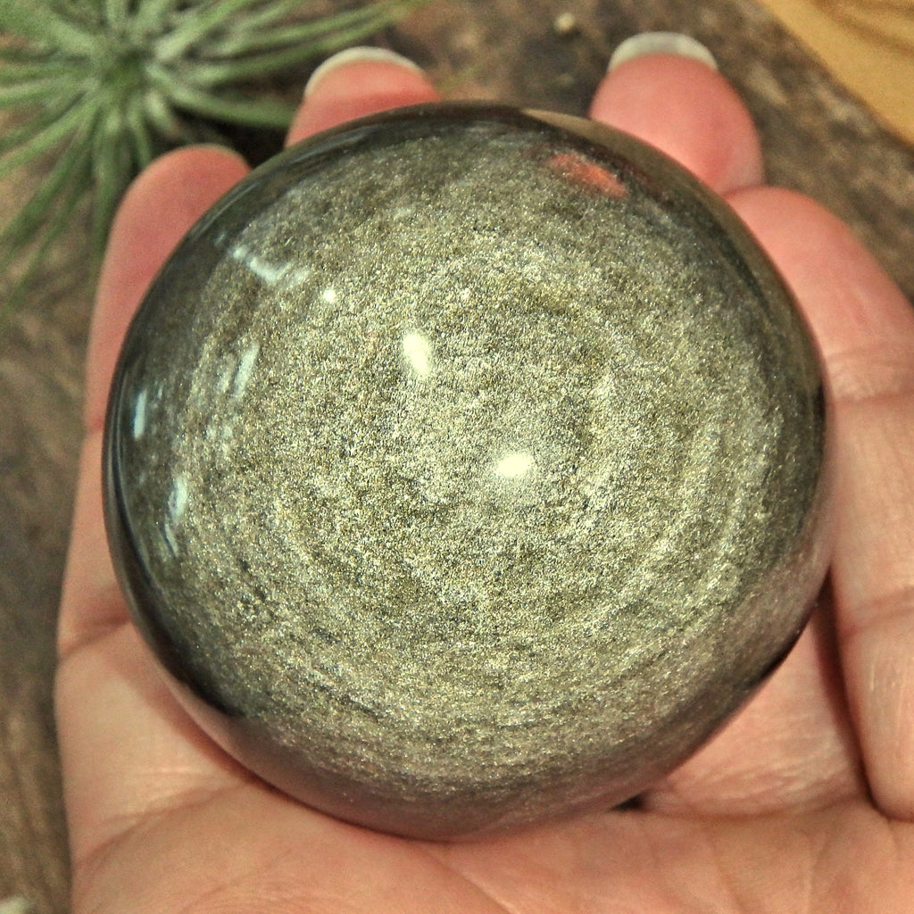 Mysterious Gold Sheen Obsidian Sphere Carving - Earth Family Crystals