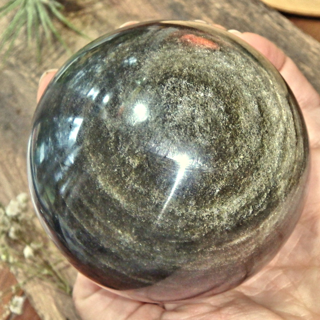 Stunning XL Gold Sheen Obsidian Sphere Carving - Earth Family Crystals