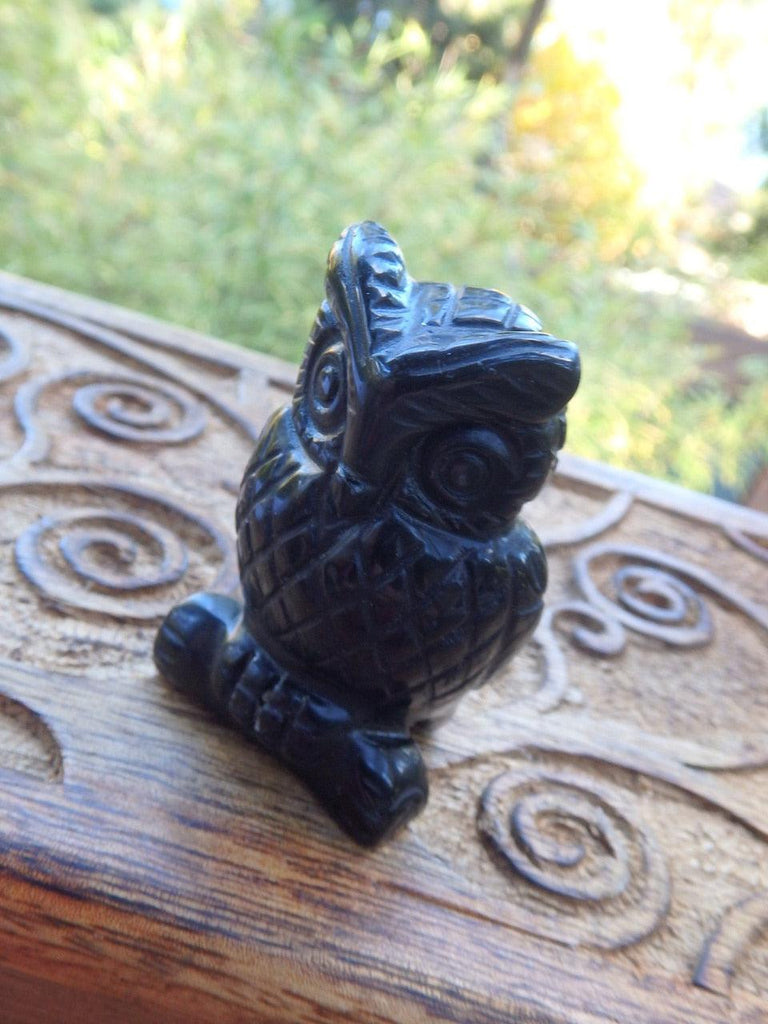 Wise Old Owl Small Black Obsidian Carving - Earth Family Crystals
