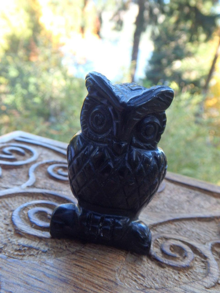 Wise Old Owl Black Obsidian Carving 2 *REDUCED - Earth Family Crystals