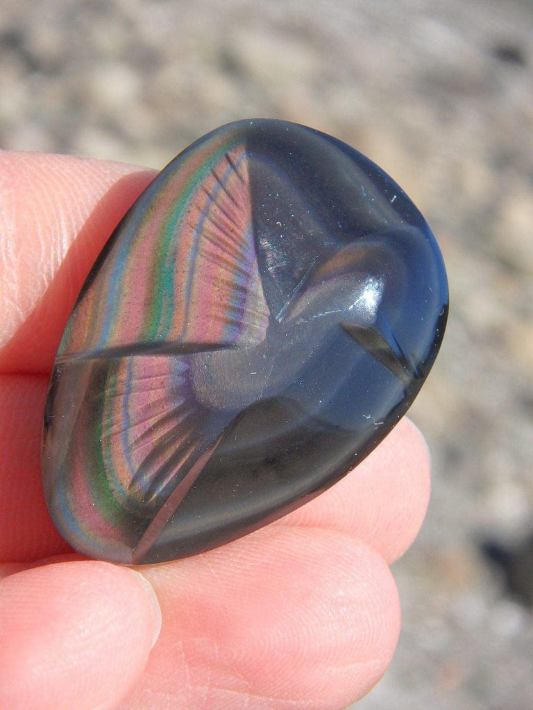 Adorable Hummingbird Rainbow Obsidian Cabochon - Earth Family Crystals