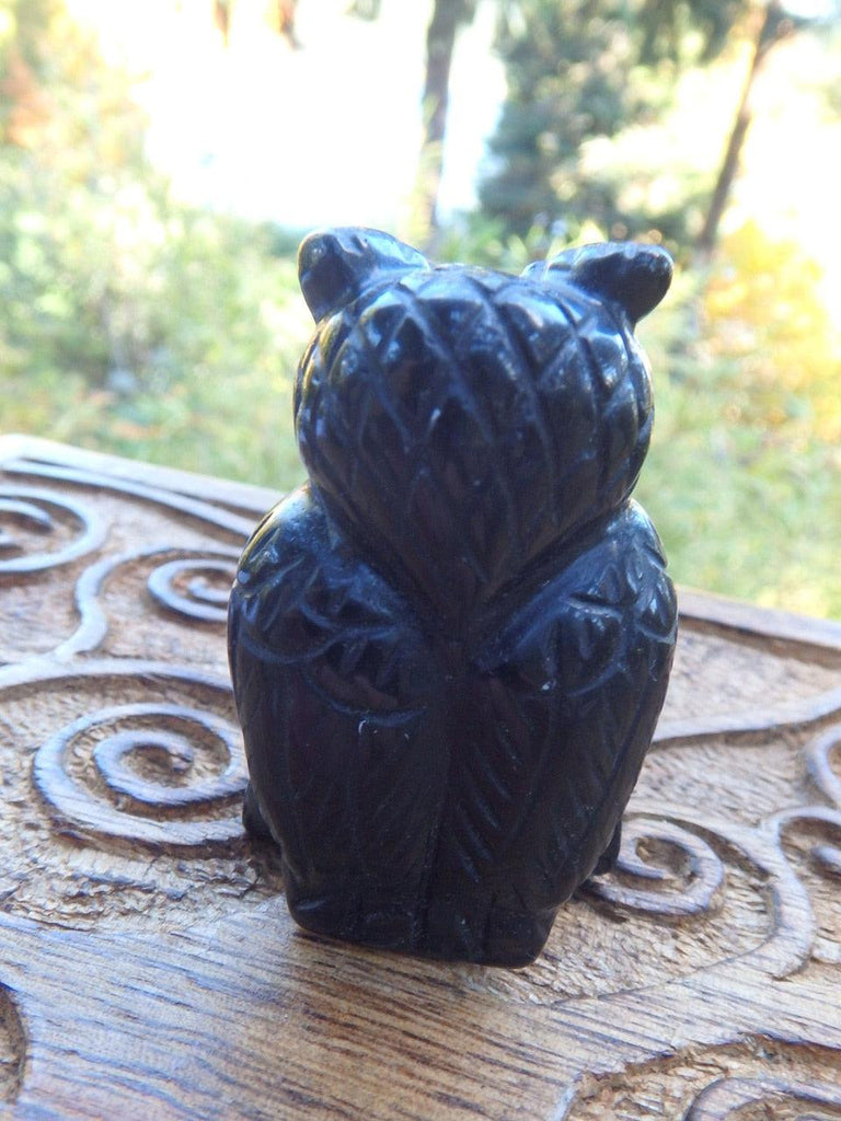 Wise Old Owl Black Obsidian Carving 2 *REDUCED - Earth Family Crystals