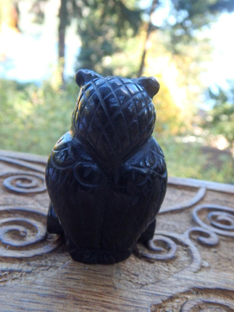 Wise Old Owl Black Obsidian Carving 1 REDUCED* - Earth Family Crystals