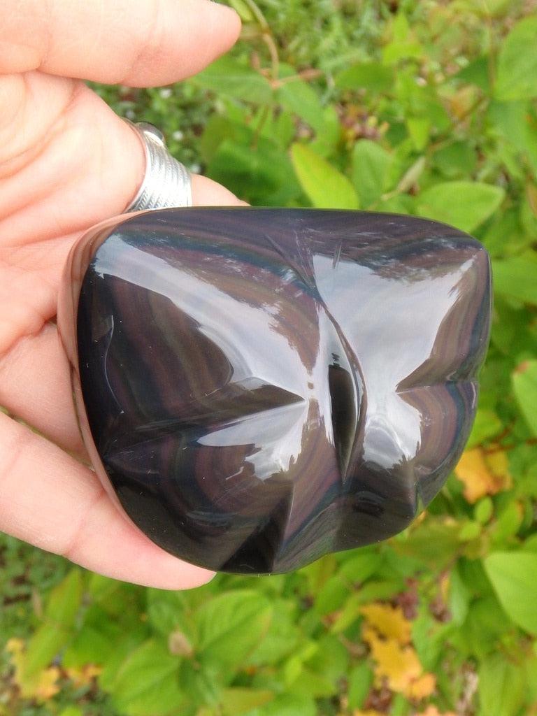Reserved for Laurence C. Amazing Butterfly Carved Rainbow Obsidian Specimen - Earth Family Crystals