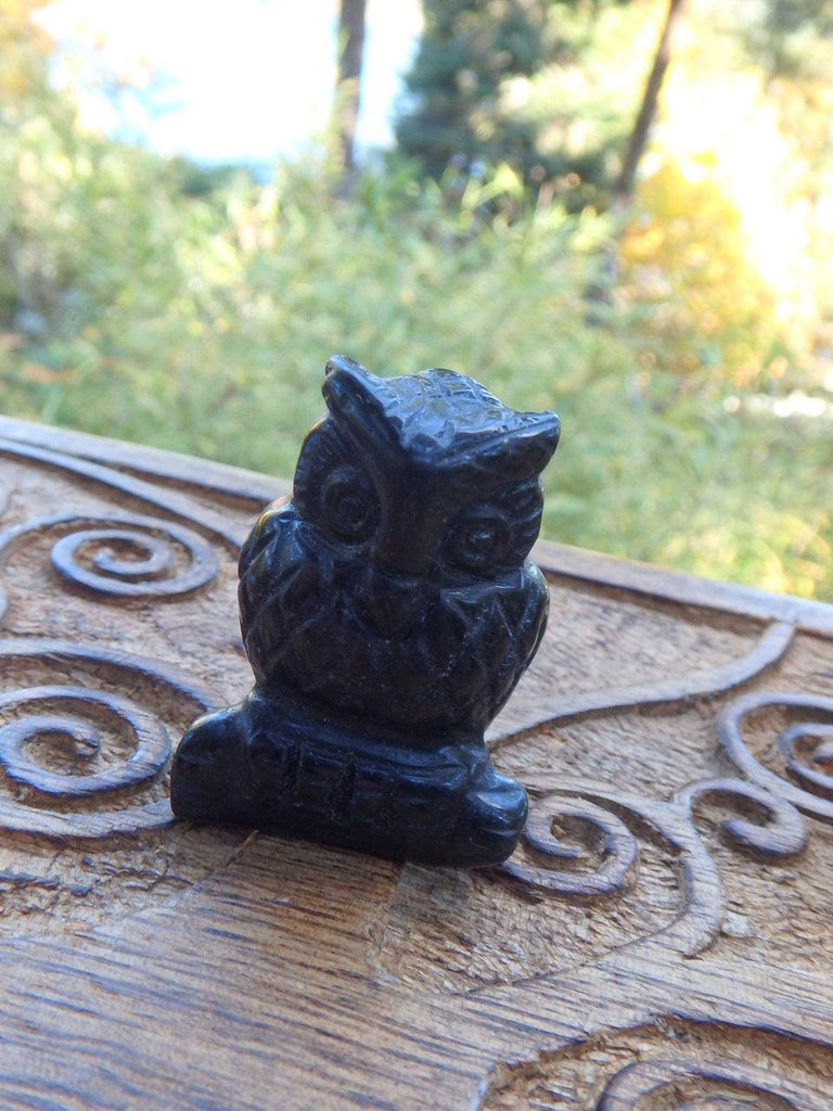 Wise Old Owl Small Black Obsidian Carving - Earth Family Crystals