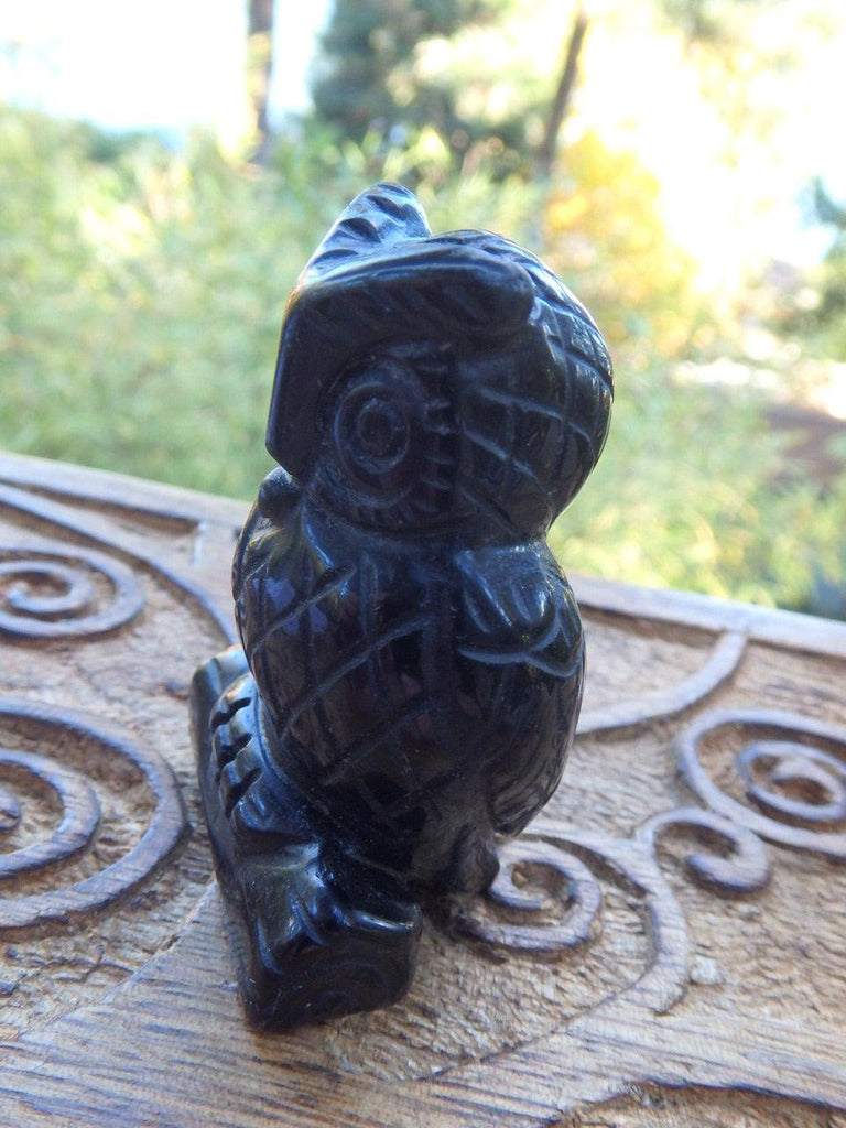 Wise Old Owl Black Obsidian Carving 1 REDUCED* - Earth Family Crystals