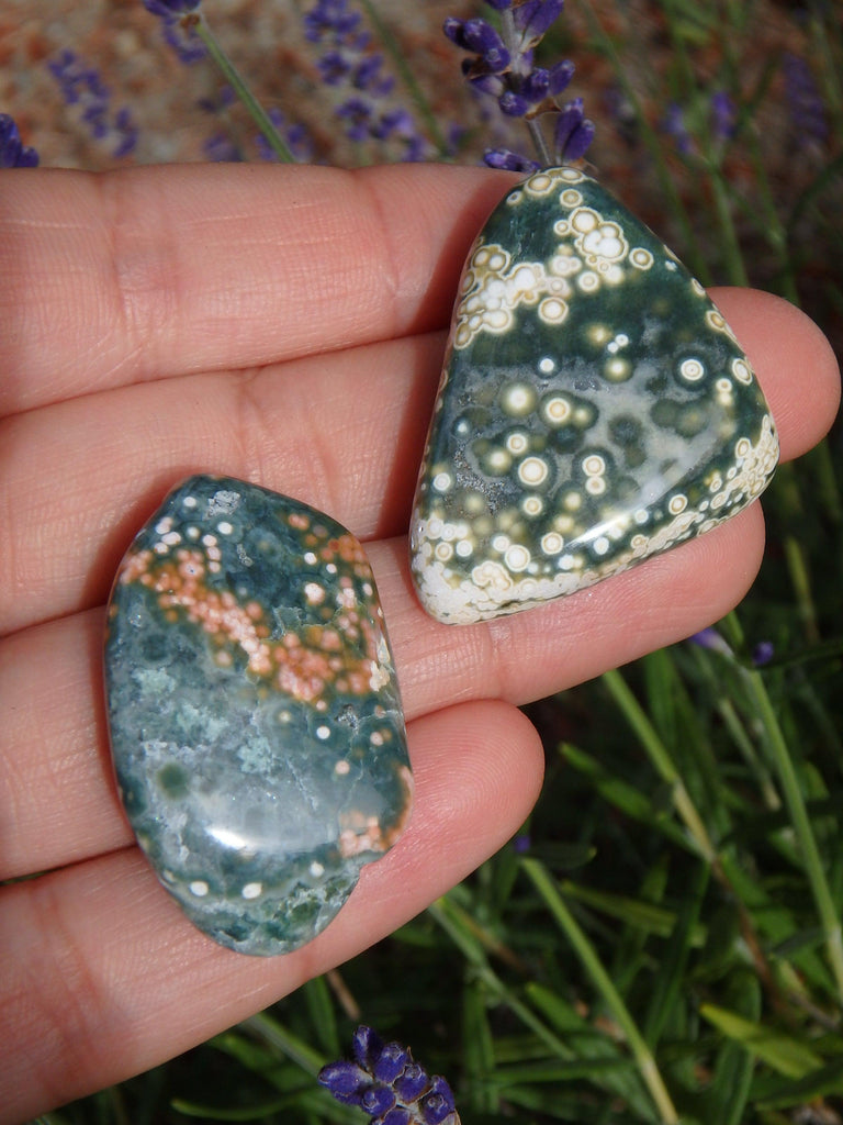 Set of two Pretty Orbs of Color Ocean Jasper Tumble Stones - Earth Family Crystals