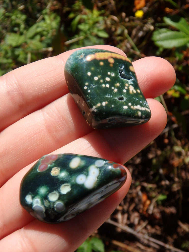Set of 2~Pretty orbs of Color Forest Green Ocean Jasper Tumbled Stones - Earth Family Crystals