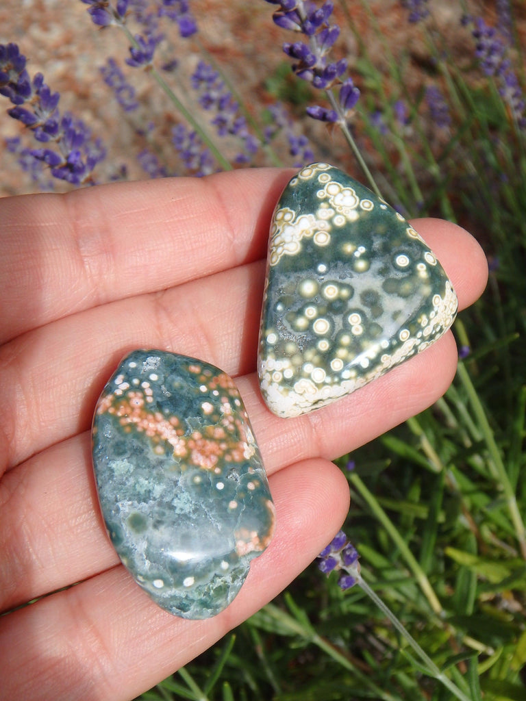 Set of two Pretty Orbs of Color Ocean Jasper Tumble Stones - Earth Family Crystals