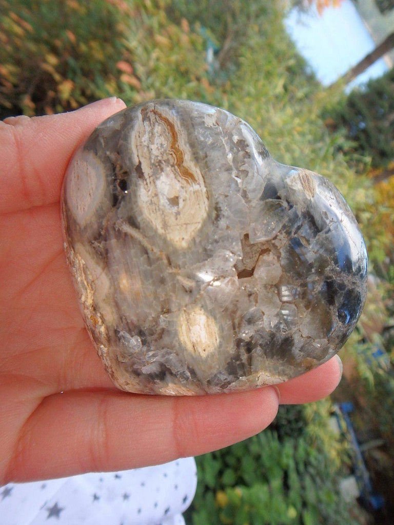 Druzy Caves! White & Black Contrast Ocean Jasper Love Heart - Earth Family Crystals