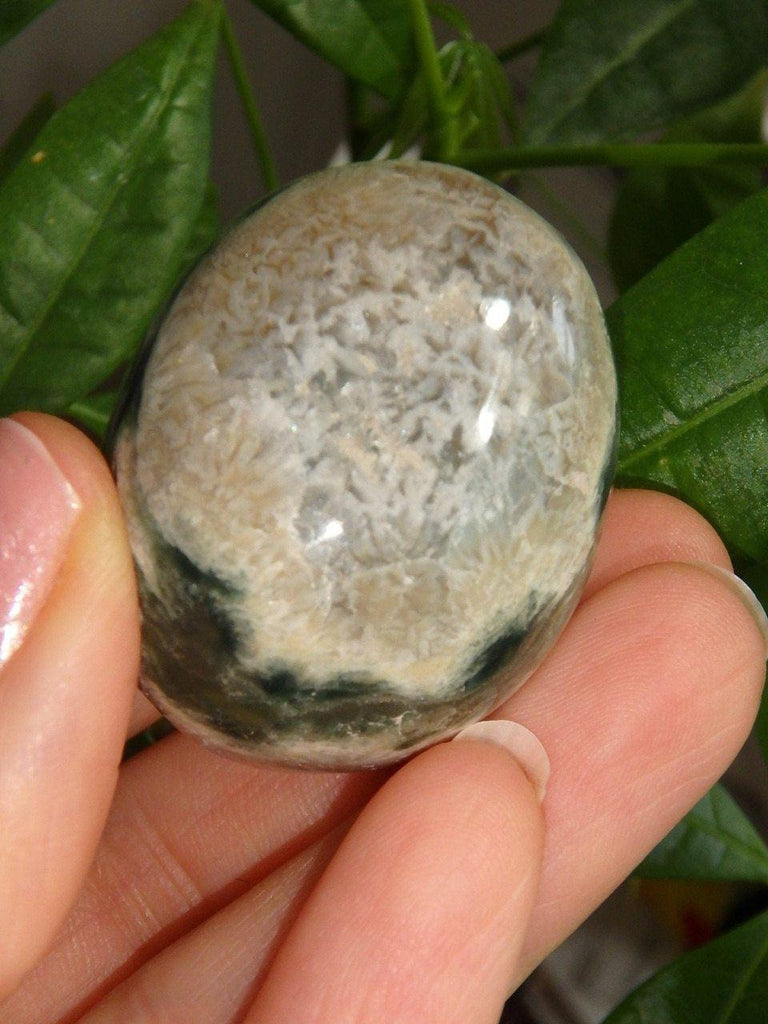 Cute Ocean Jasper Palm Stone - Earth Family Crystals