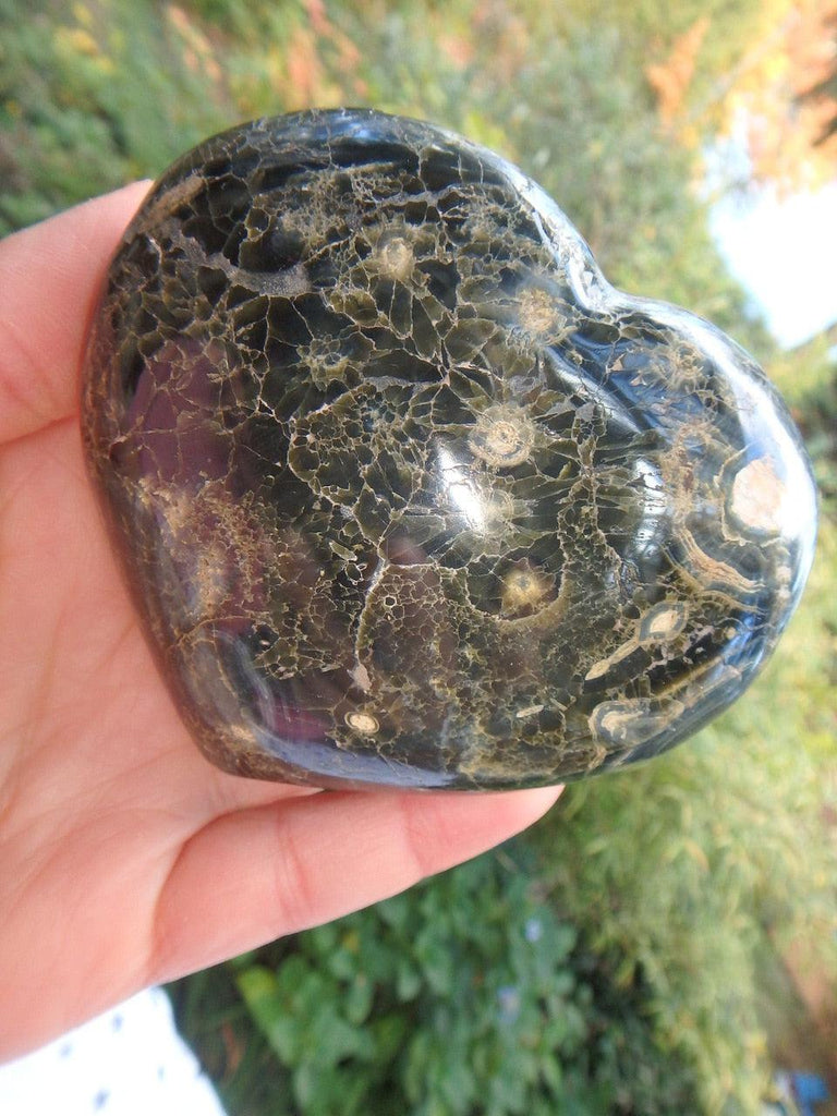 Mysterious Orbs & Swirls Ocean Jasper Love Heart - Earth Family Crystals