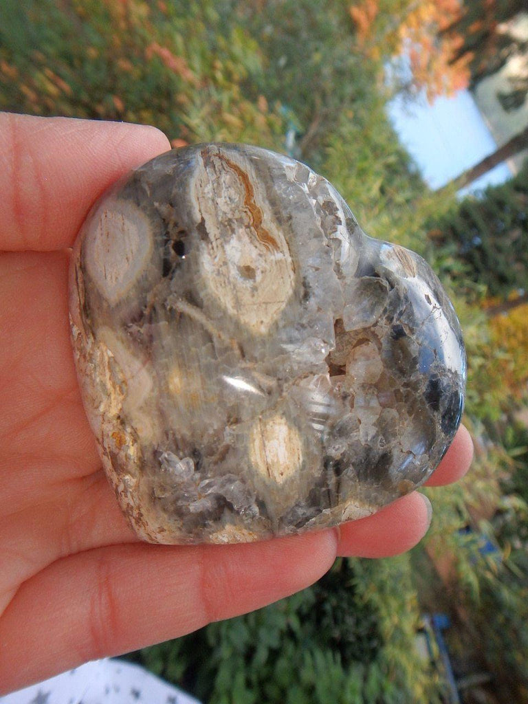 Druzy Caves! White & Black Contrast Ocean Jasper Love Heart - Earth Family Crystals