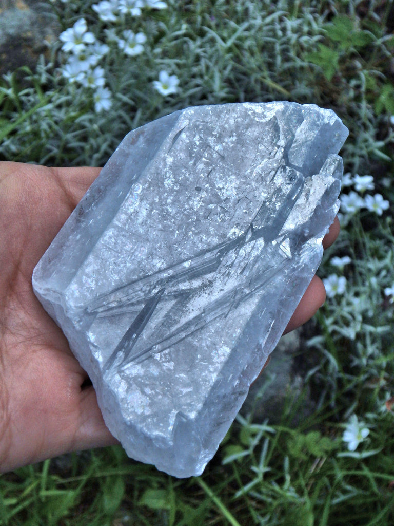 Rare Ohio Celestite Large Brilliant Specimen - Earth Family Crystals