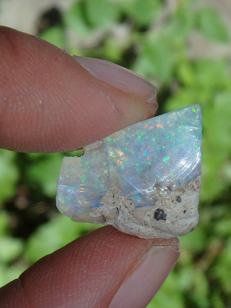 Brilliant Sparkle Raw Ethiopian Opal Dainty & Flat Collectors Specimen - Earth Family Crystals