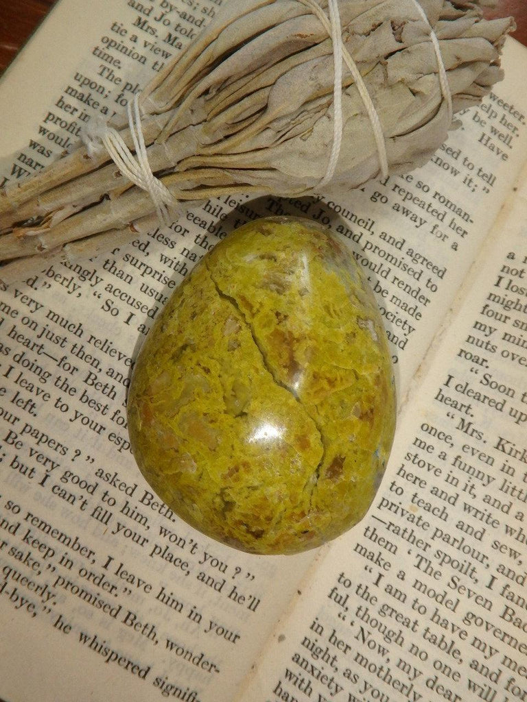 Vibrant Green Opal Palm Stone With Caves From Madagascar - Earth Family Crystals