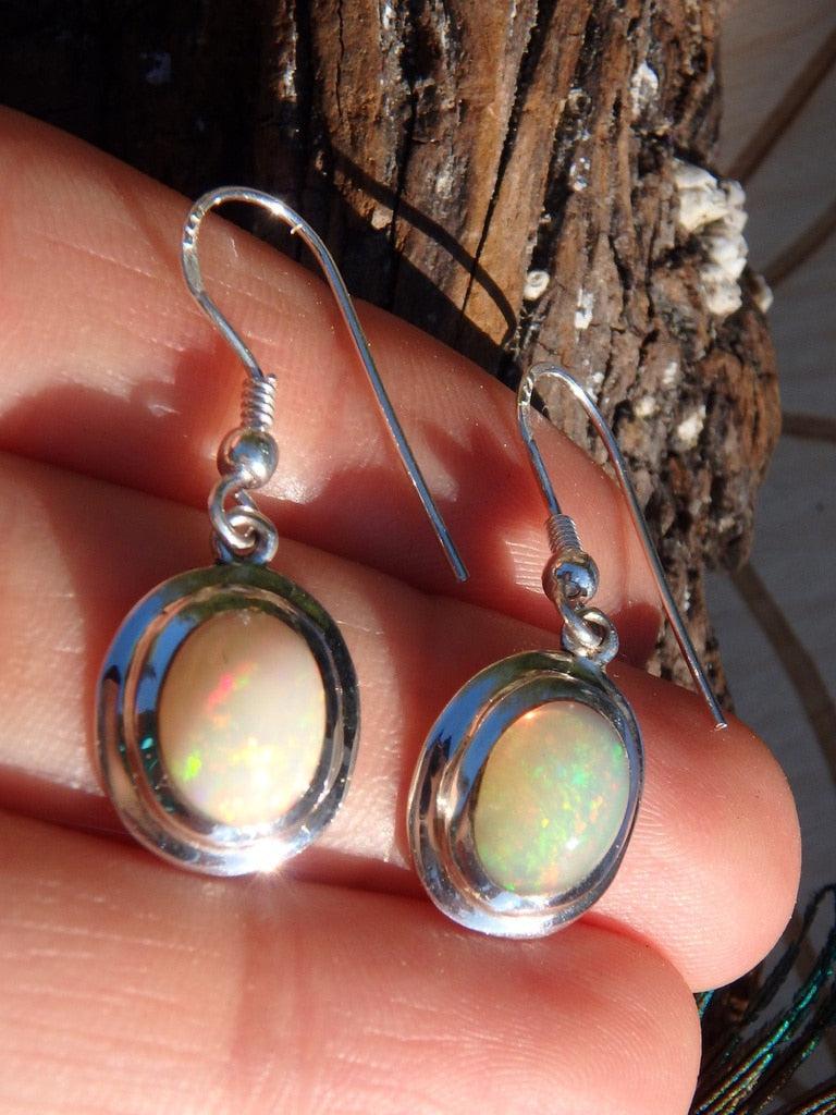 Gorgeous Ethiopian Opal Earrings In Sterling Silver - Earth Family Crystals